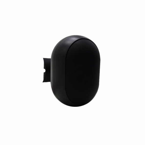 WSK-530ESW/WSK-530ES  5″ Wall Mount Speaker